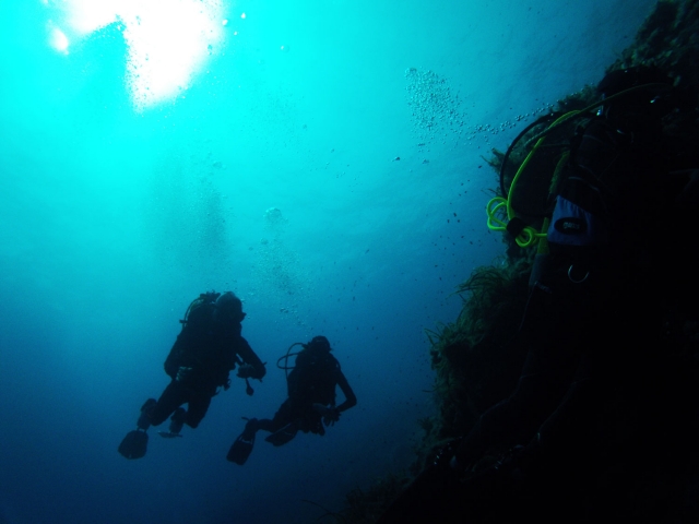 Diving couple.jpg